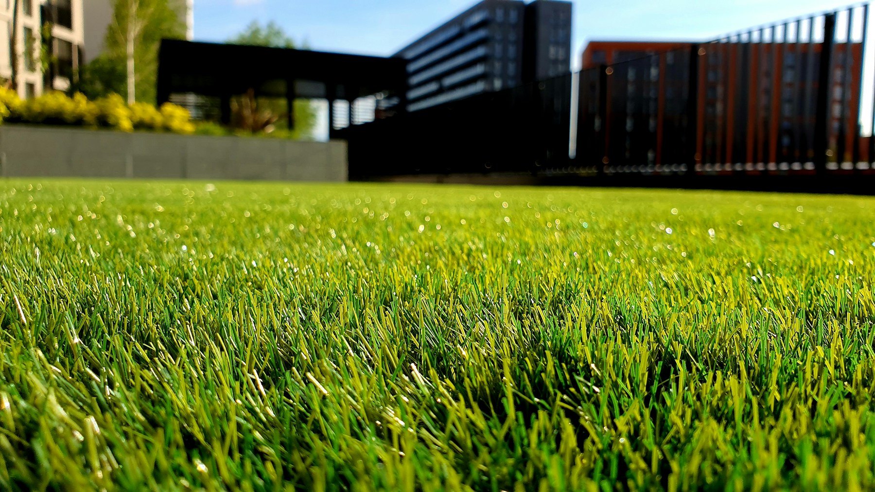 A close-up of a neatly cut green lawn beside a contemporary garden