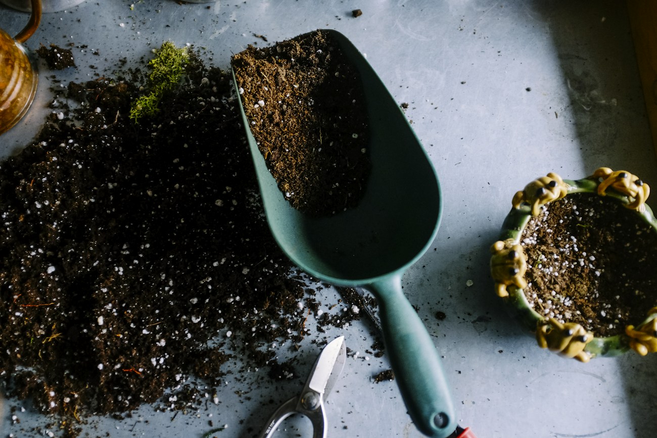 Gardening tools, a green hand scoop and soil ready for garden maintenance